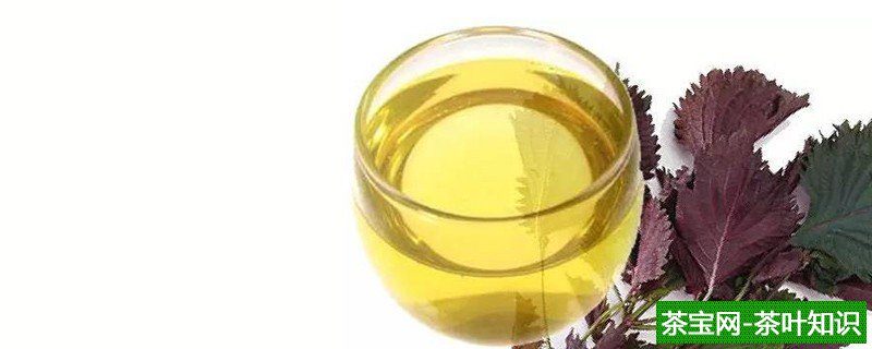 紫苏茶的功效与作用及食用方法