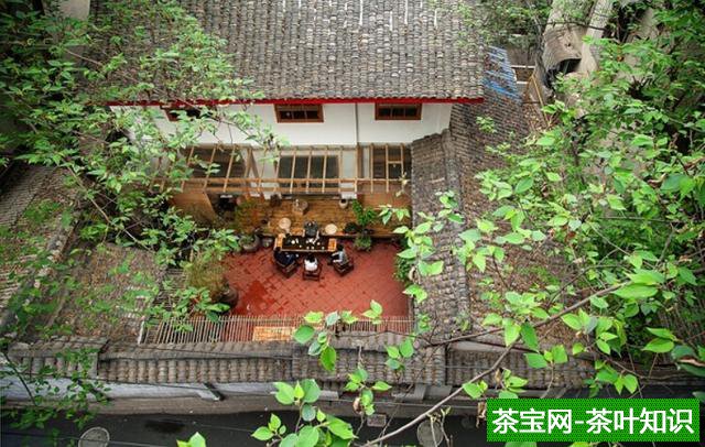 闲适之下，自在饮茶