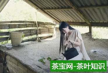 茶，也是个俗物