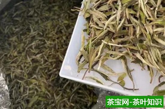 福鼎老白茶多少钱一斤