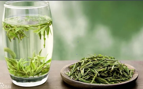 安吉白茶会过期限变质吗