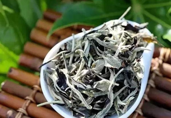 1分钟快速认识月光白茶（月光美人）